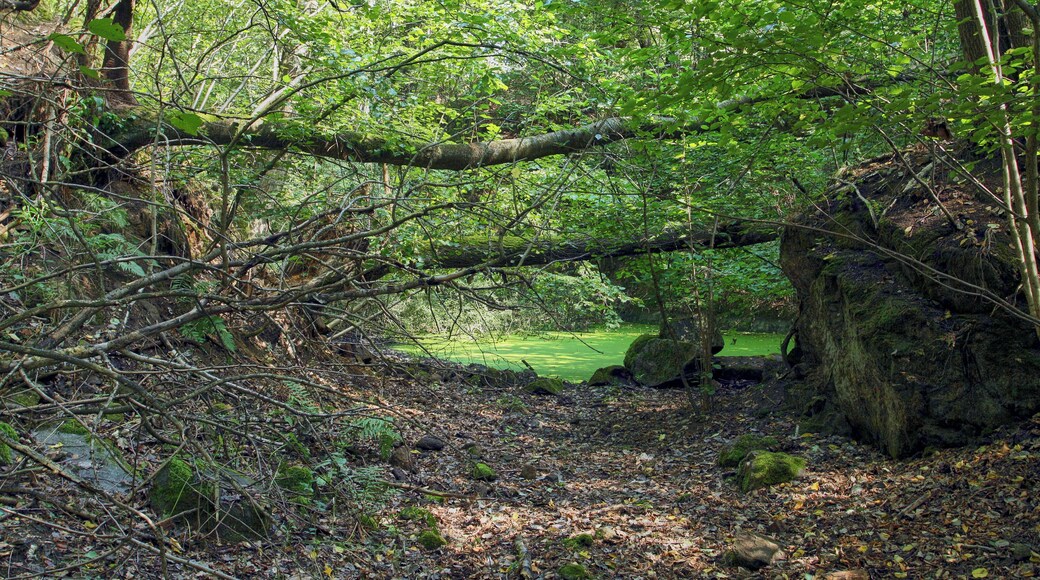 Natural monument Mutěnínský lom near Mutěnín village in Domažlice District, Czech Republic