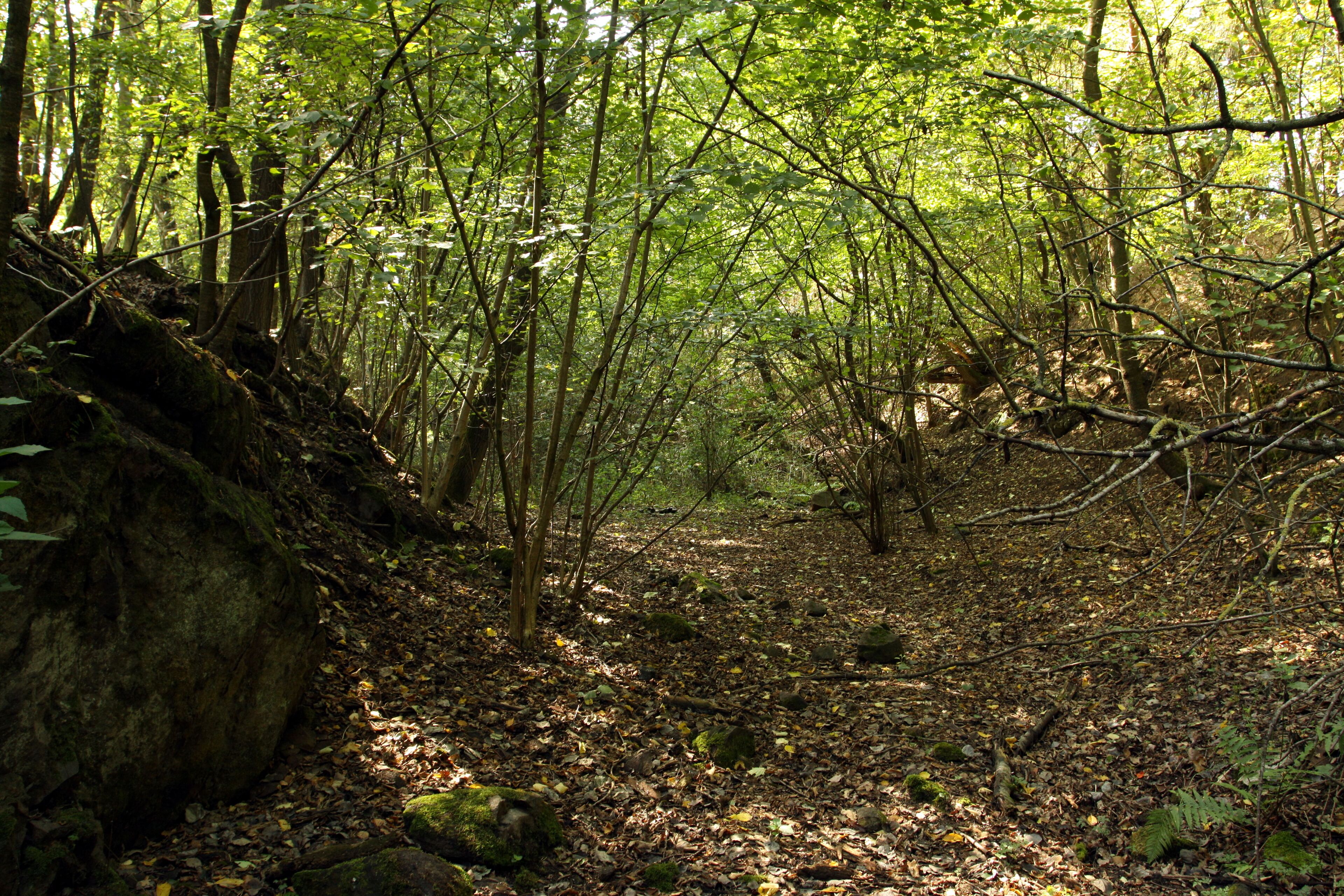 Natural monument Mutěnínský lom near Mutěnín village in Domažlice District, Czech Republic