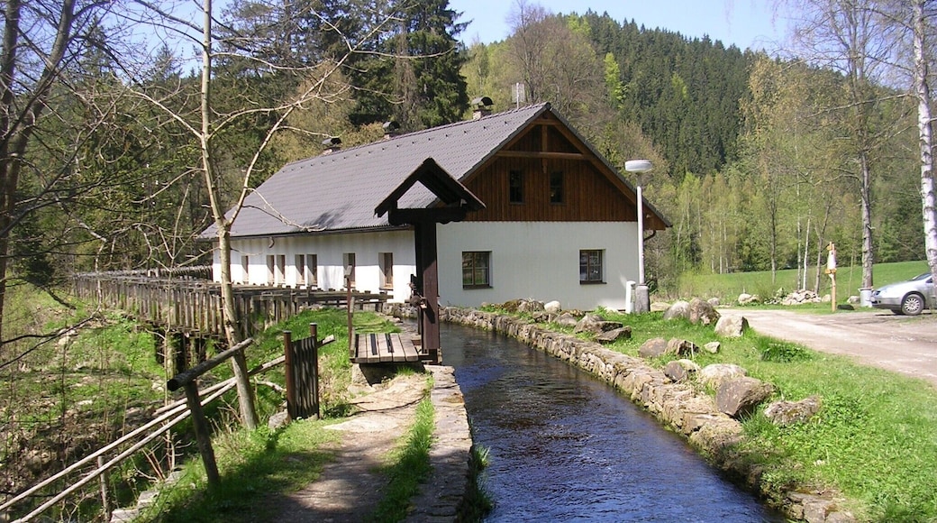 nĂĄhon ÄeĆkovy pily