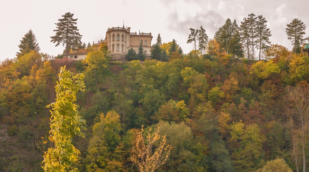 The Berounka is a river in the Czech Republic, the biggest left tributary of Vltava. It carries the name Mže from its source in Germany, next to the Czech border, until its confluence with the Radbuza in Pilsen. It then continues under the name of Berounka until it enters the Vltava on the edge of Prague. Originally, the entire stream was called Mže, but in the 17th century the lower course started to be named after the town Beroun, lying upon it.
Berounka Nature Trail (canoeing)
Route: The first information board is situated near the village of Zvíkovec on the right bank of the Berounka. The trail finishes near Hlásná Třebaň.
Length: about 60 km
The unique Berounka canoeing nature trail goes through the Protected Areas of Křivoklátsko and Czech Karst (Český kras). Its route is formed by the Berounka River. There are thirteen stops with information boards, which tell visitors about local natural and historical places of interest.
#outdoors #czechrepublic #oldeurope