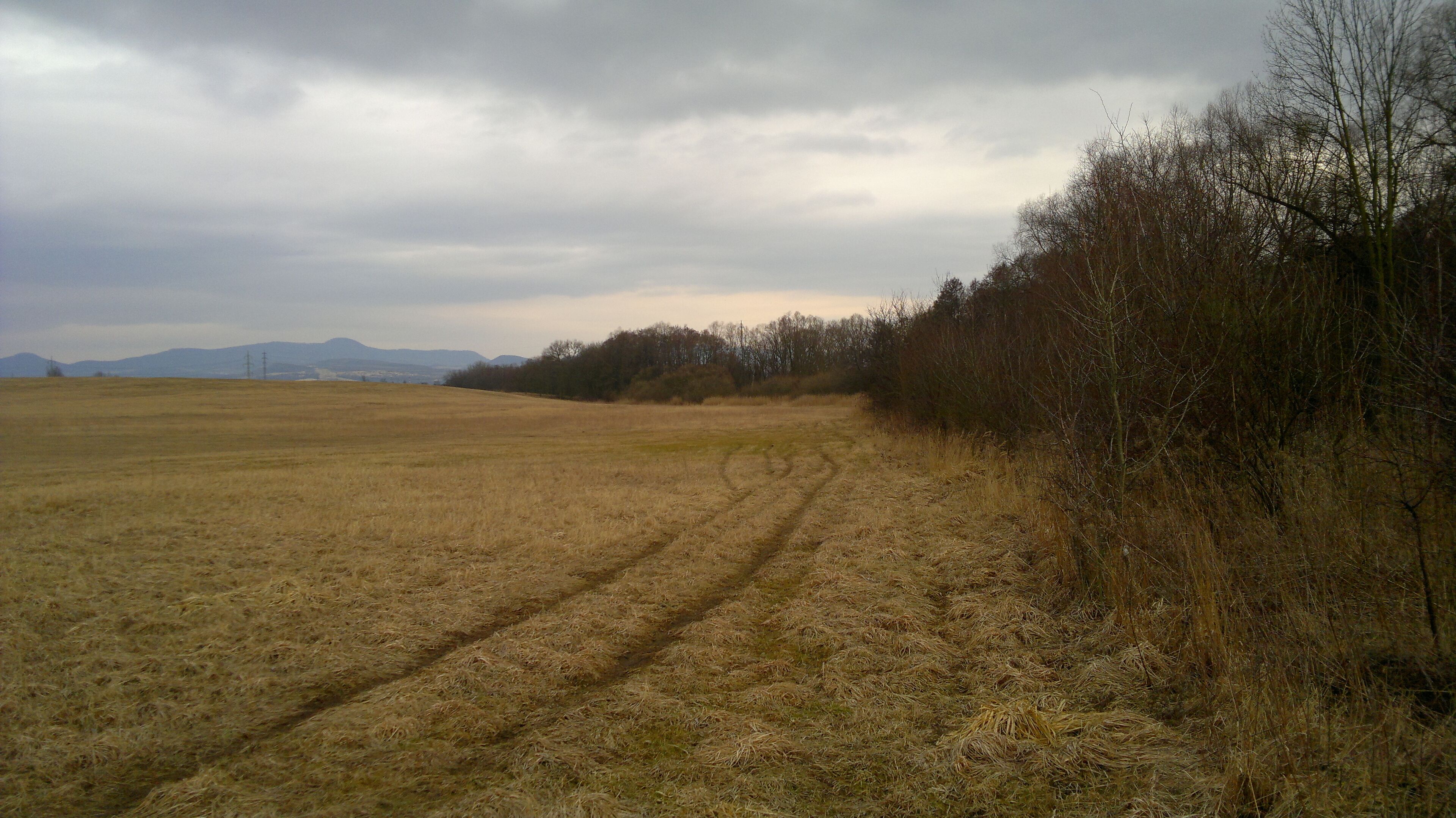 A field with tire tracks, a line of trees, and distant mountains under a cloudy sky.