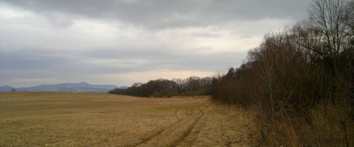 A field with tire tracks, a line of trees, and distant mountains under a cloudy sky.