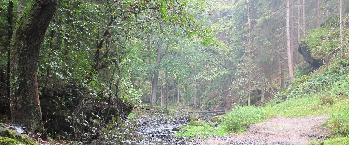 Chřibská Kamenice river in nature reserve Pavlínino údolí near Jetřichovice-Rynartice, Děčín District in Czech Republic