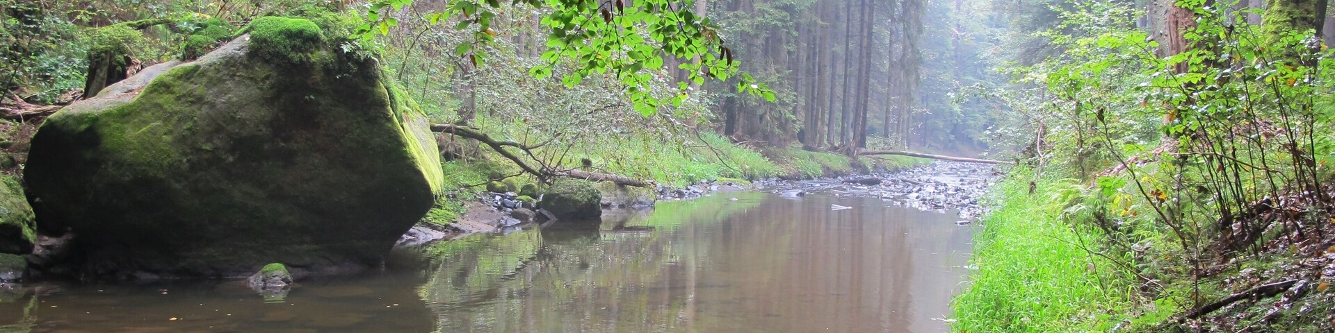 Chřibská Kamenice river in nature reserve Pavlínino údolí near Jetřichovice-Rynartice, Děčín District in Czech Republic