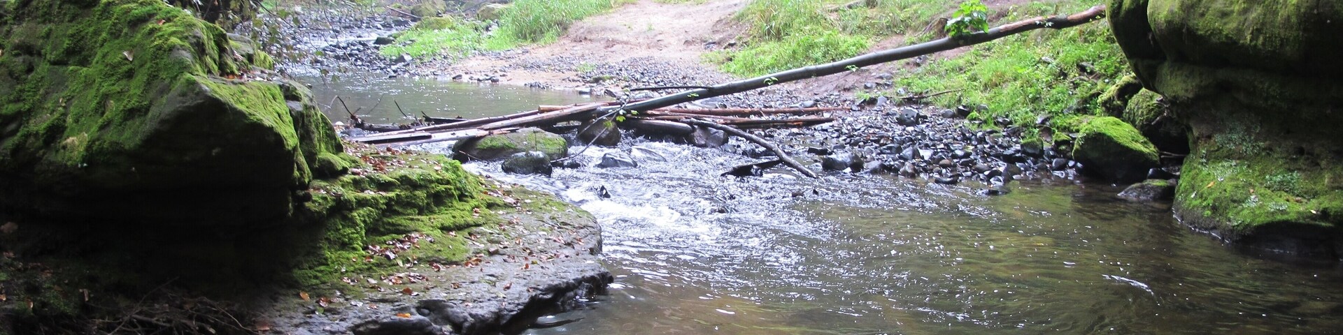Chřibská Kamenice river in nature reserve Pavlínino údolí near Jetřichovice-Rynartice, Děčín District in Czech Republic