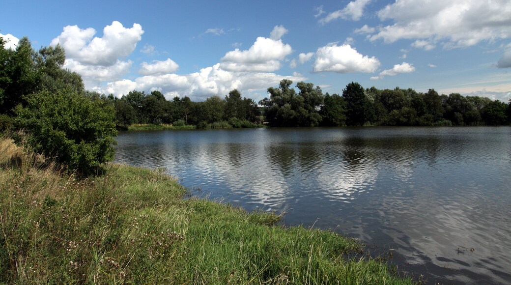 Nature reserve Postřekovské rybníky near Postřekov village in Domažlice District, Czech Republic