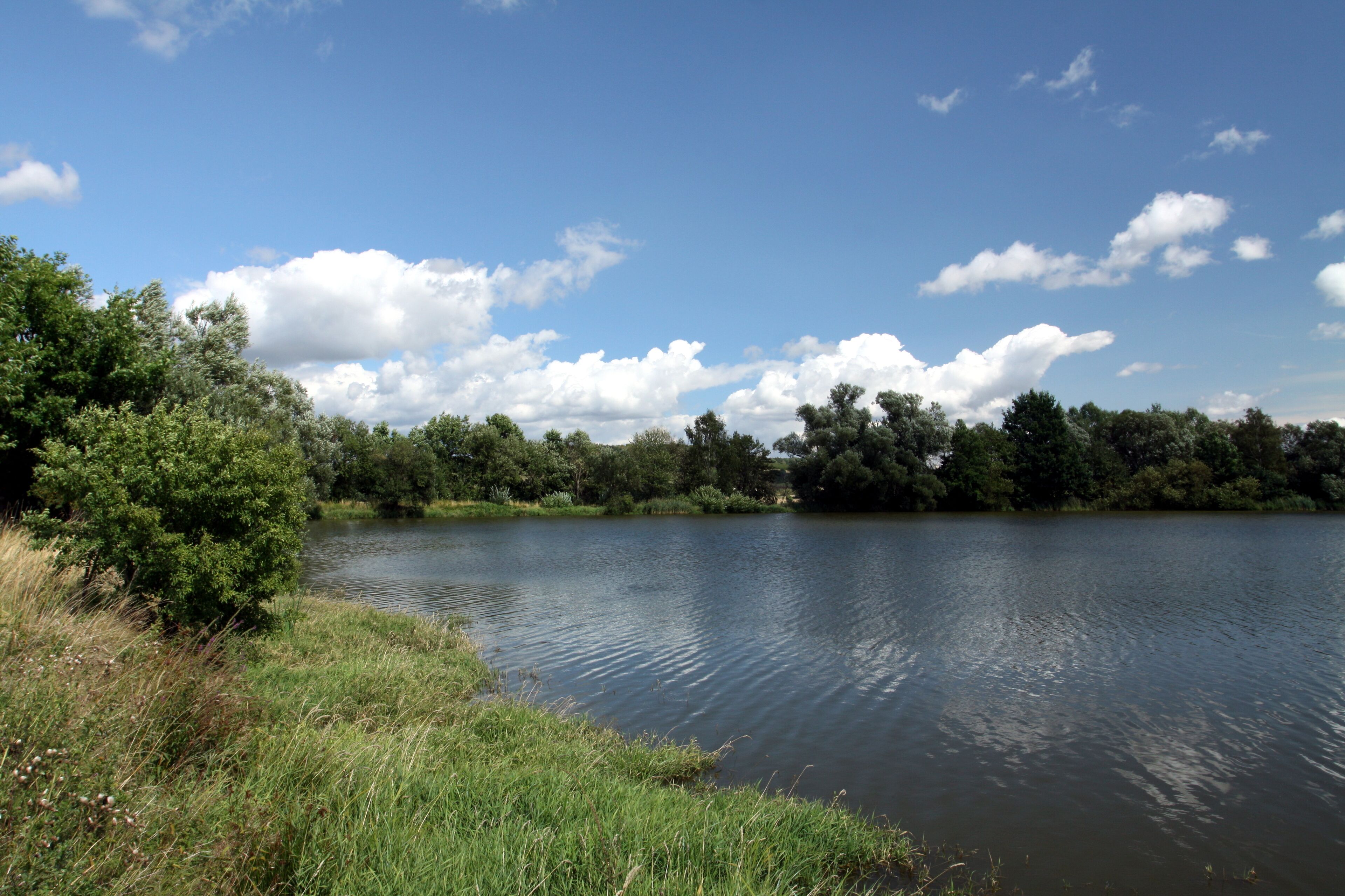 Nature reserve Postřekovské rybníky near Postřekov village in Domažlice District, Czech Republic