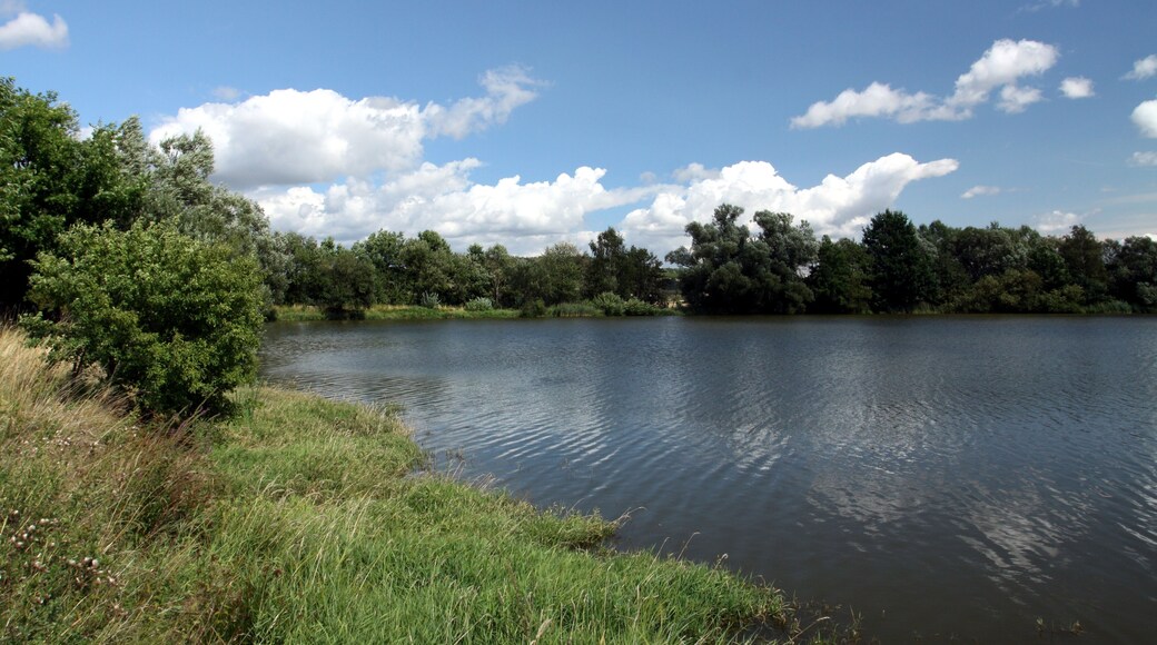 Nature reserve Postřekovské rybníky near Postřekov village in Domažlice District, Czech Republic
