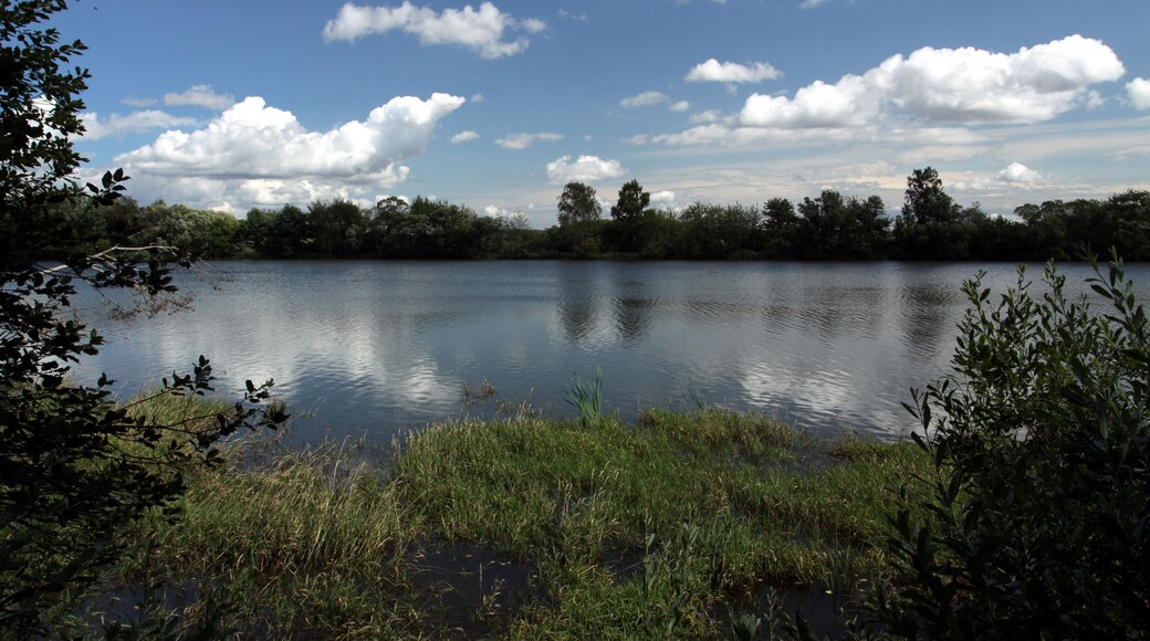 Nature reserve Postřekovské rybníky near Postřekov village in Domažlice District, Czech Republic