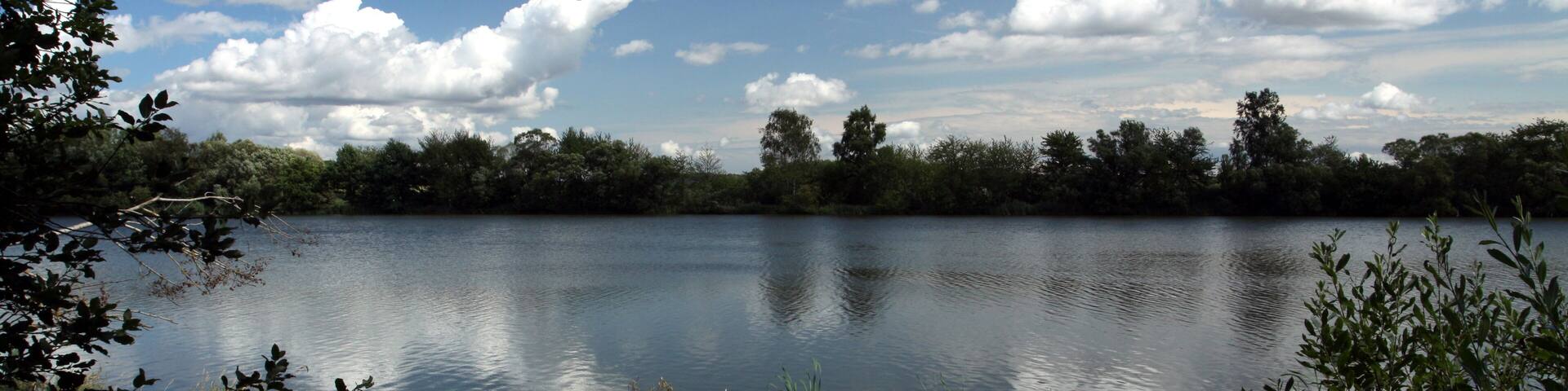 A calm lake surrounded by trees and vegetation.
