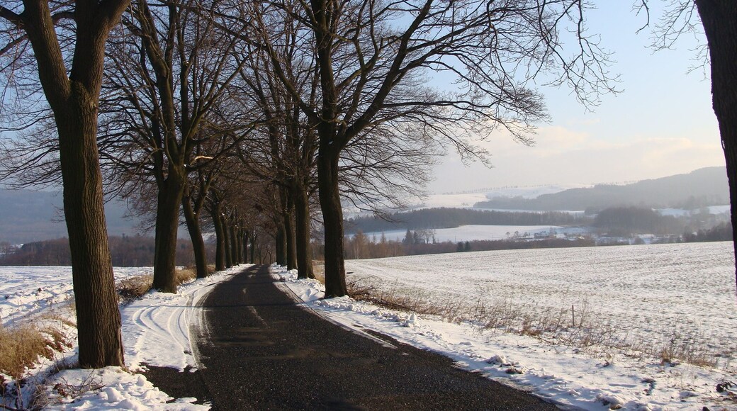 Silnice III/03514 svažující se z kopce ve směru na Dětřichov. Nalevo je Dětřichov a domy napravo patří k Heřmanicím.