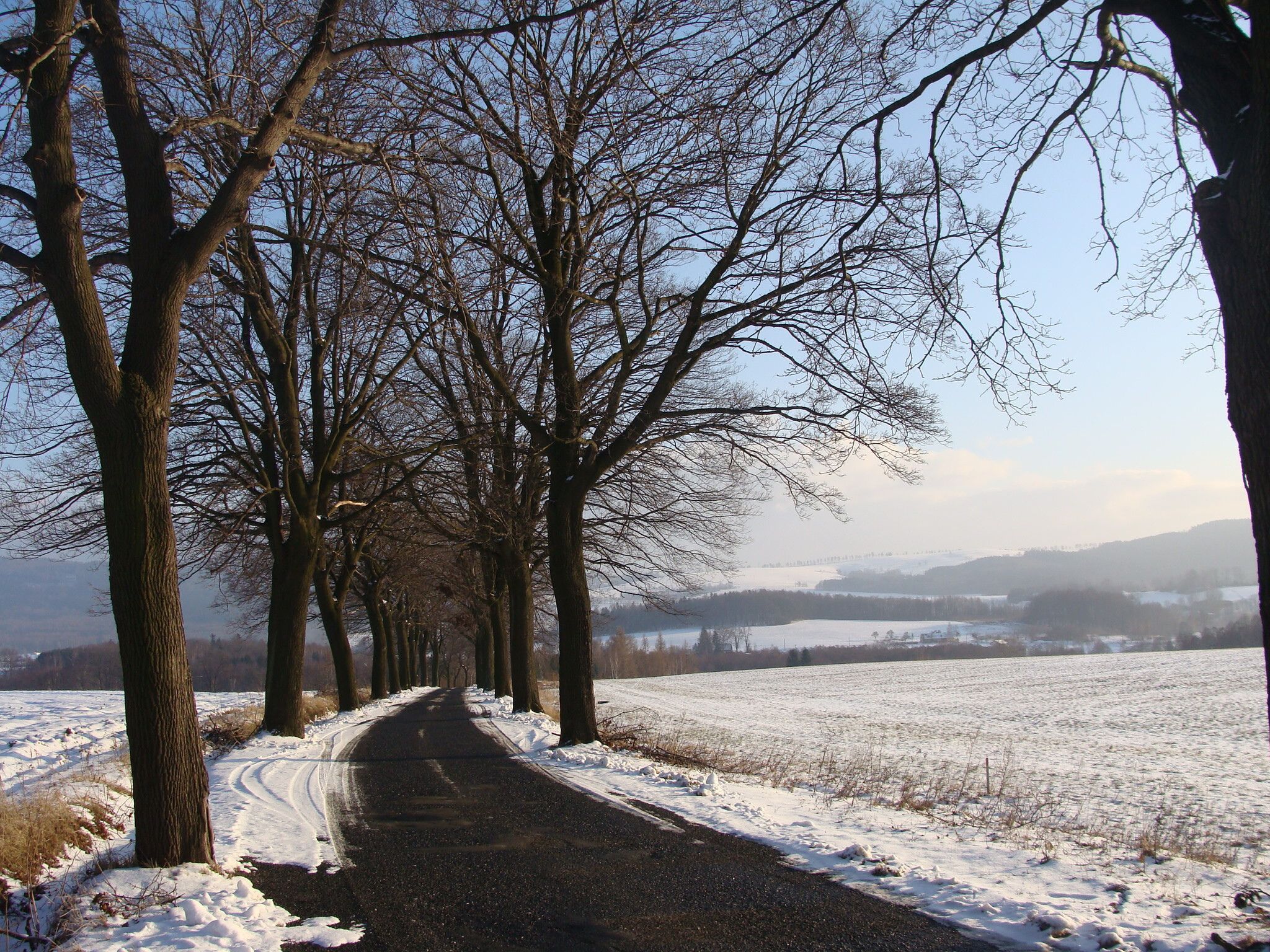A snow-covered rural road flanked by leafless trees, leading towards distant hills.