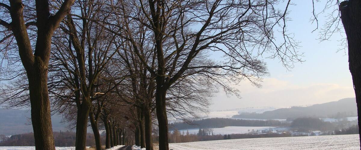 A snow-covered rural road flanked by leafless trees, leading towards distant hills.