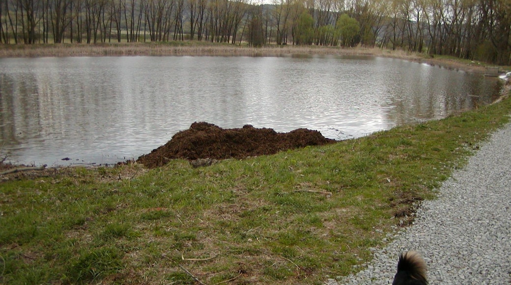 chovný rybník ve Žďáru