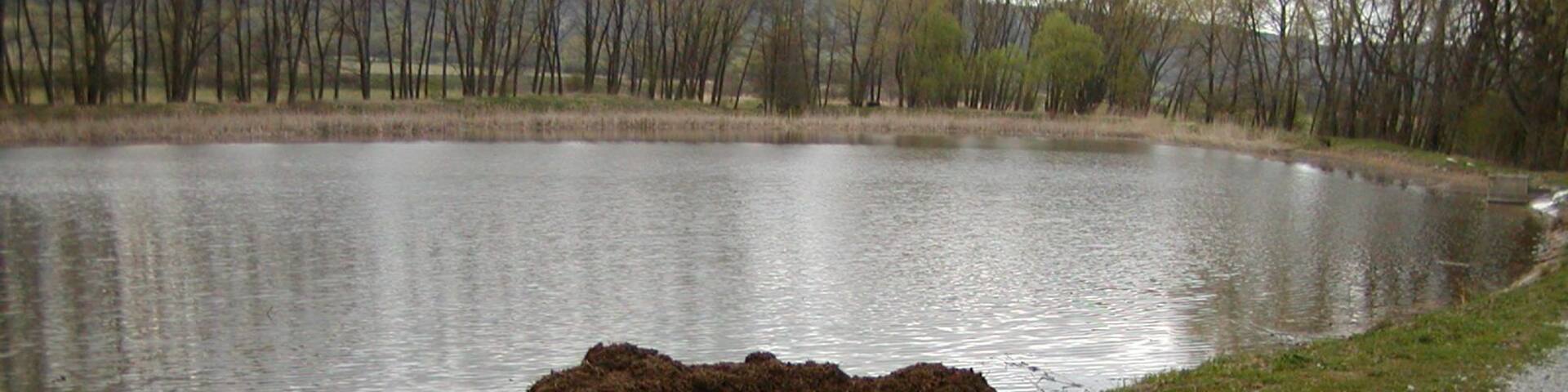 chovný rybník ve Žďáru