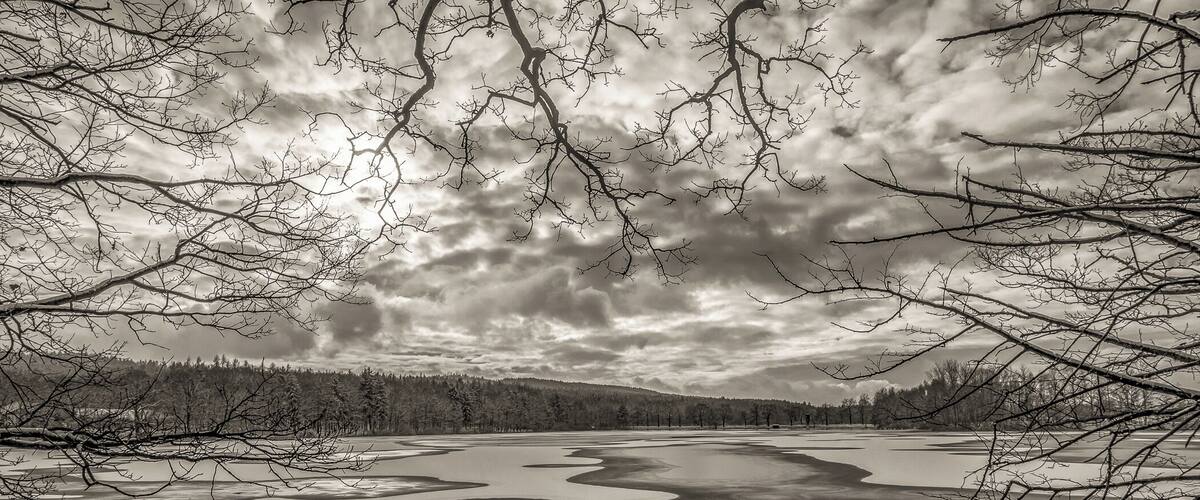 A frozen lake with circular patterns, surrounded by trees and a cloudy sky.