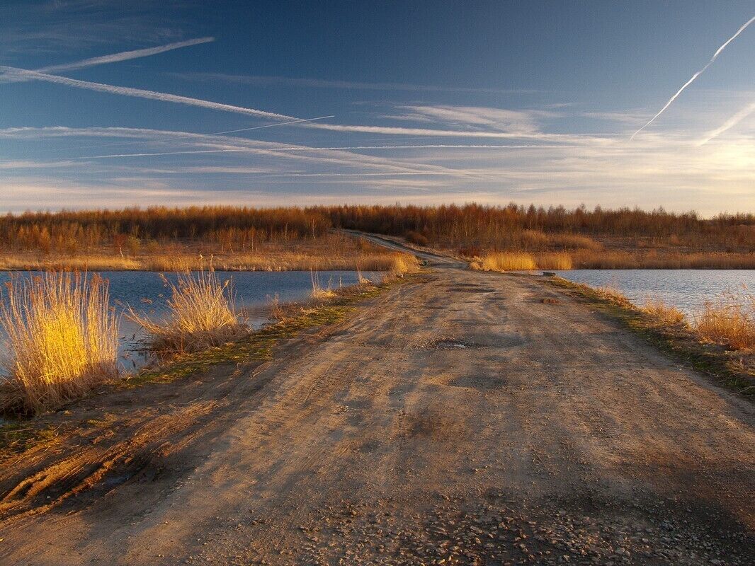 A dirt road leading to a body of water with a forest in the background.