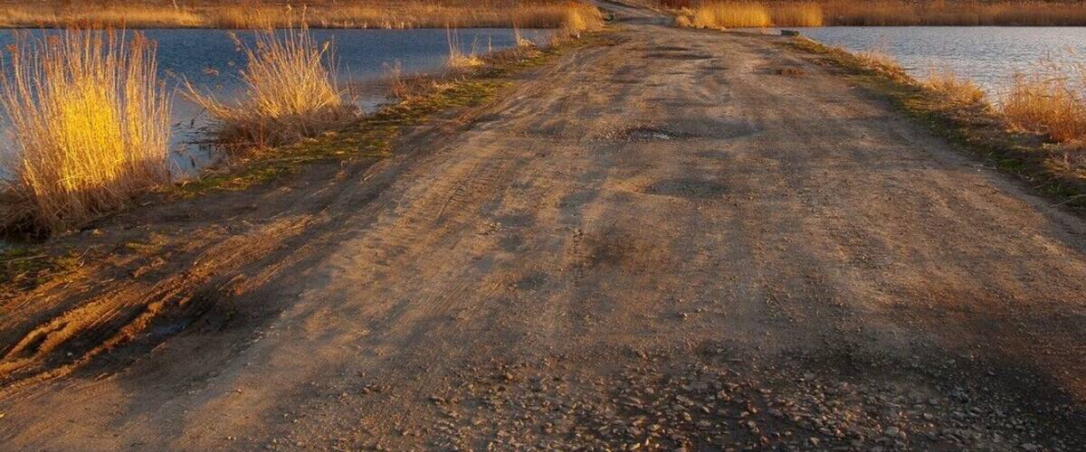 A dirt road leading to a body of water with a forest in the background.