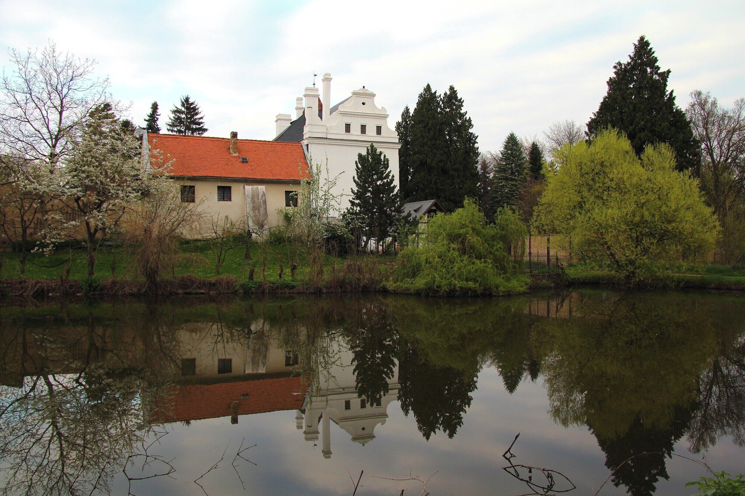 A serene lake with a white building with a red roof and a tall tree in the background.