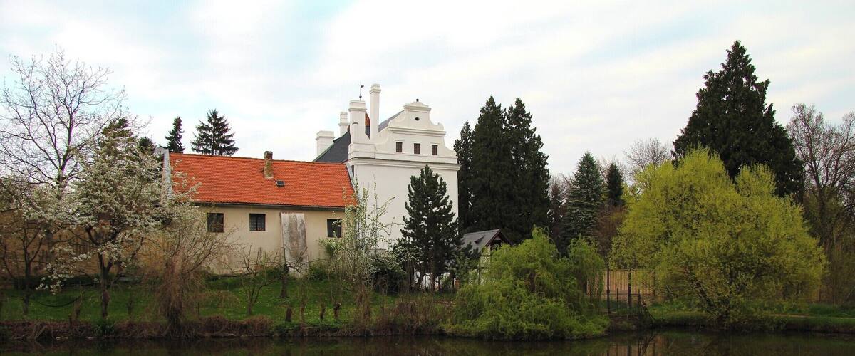 A serene lake with a white building with a red roof and a tall tree in the background.