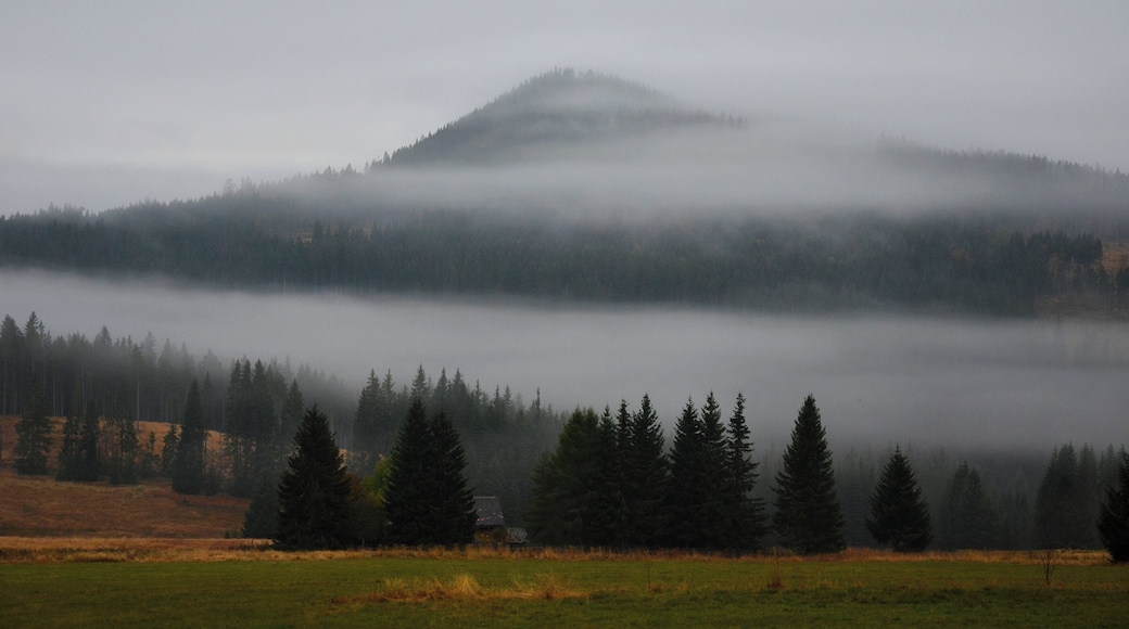 Horská Kvilda - hora Sokol