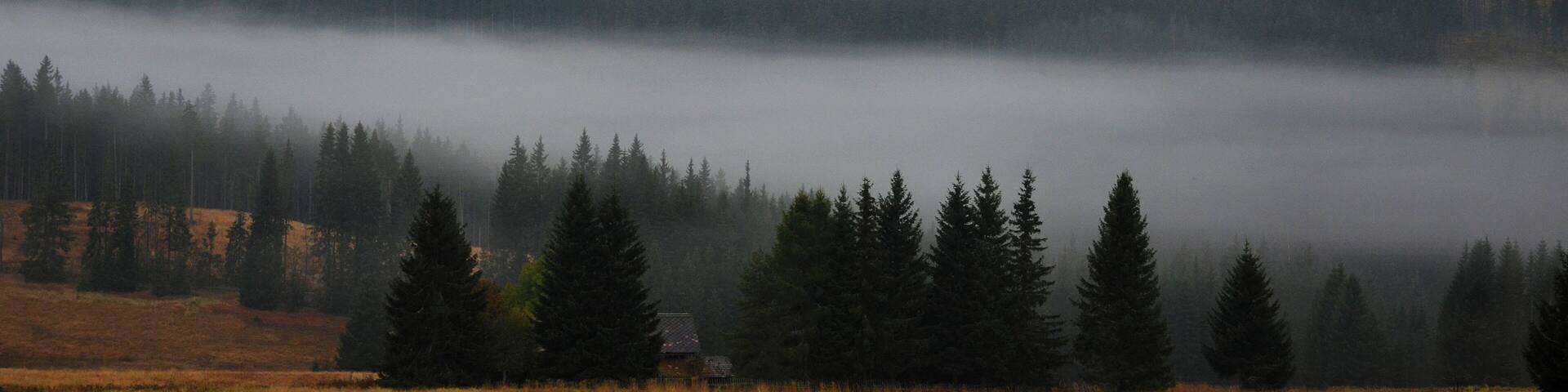 Horská Kvilda - hora Sokol