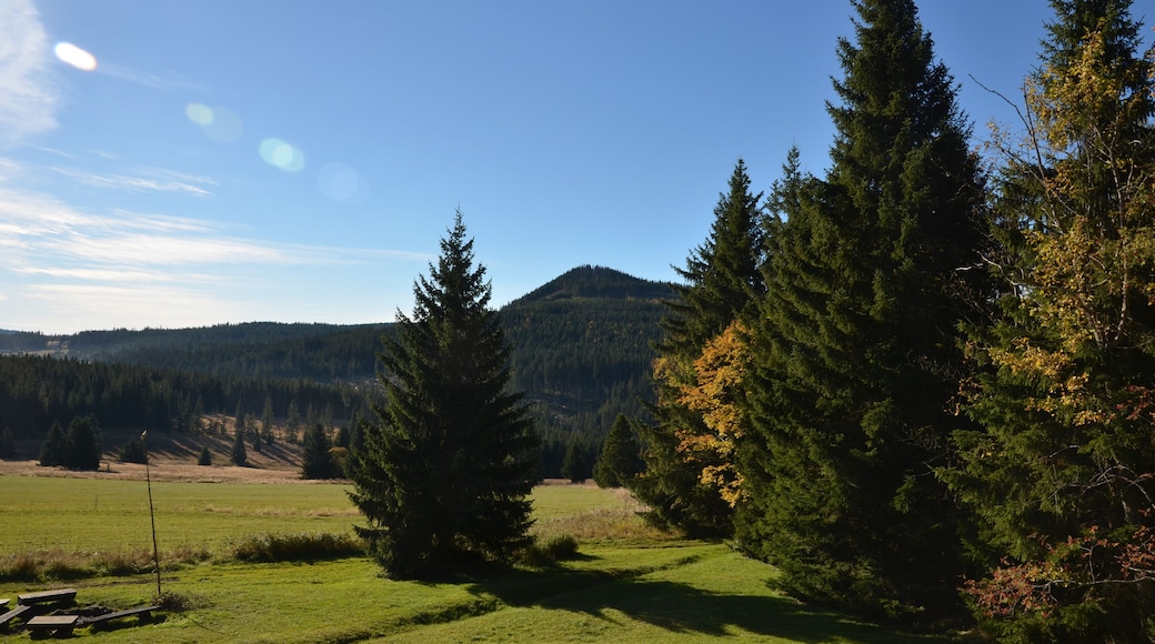 Sokol, okolí Horské Kvildy