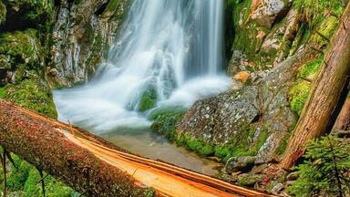 May 2009
Warerfall BĂlĂĄ StrĆŸ, Bohemian Forrest
This is a waterfall on BĂlĂœ potok (=White creek) in BĂlĂĄ StrĆŸ (=White gorge) in Ć umava (=Bohemian forrest) near border with Germany. The creek descends from ca. 1.000 to 700 metres altitude, the waterfall is in ca. 940 metres and it is the most dramatic part of the gorge. It is a cascade of 13 metres and 7 metres jump over a muscovite rock (in the photo) . Muscovite or mica or isinglass was used as a window slide alternative to glass in medieval Russia, hence the name coming from Moscow.
There is an old-growth forrest around the gorge with spruce (some are 250 years old), fir and sorbus. There is a nice scenic trail in the gorge.