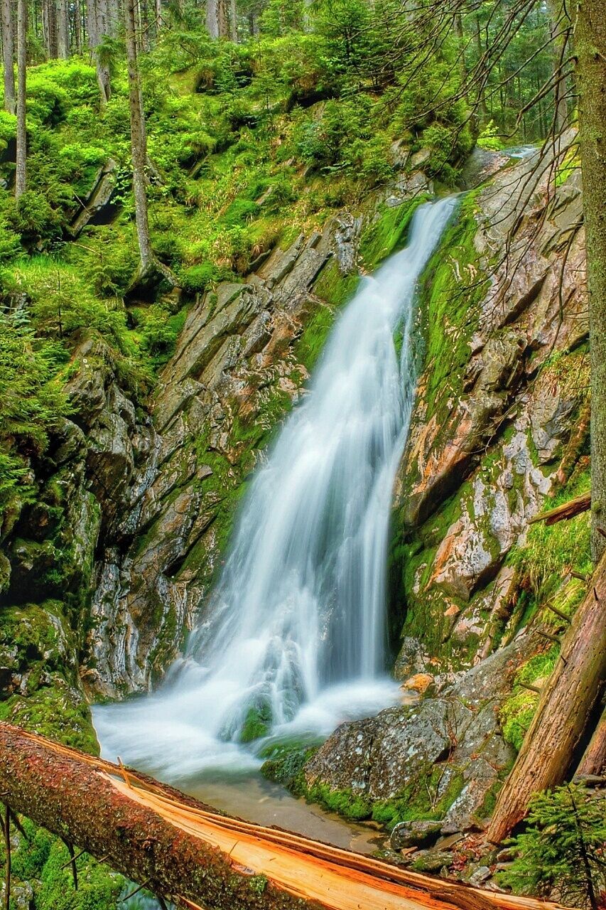 A waterfall in a lush forest with moss-covered rocks and a fallen log.