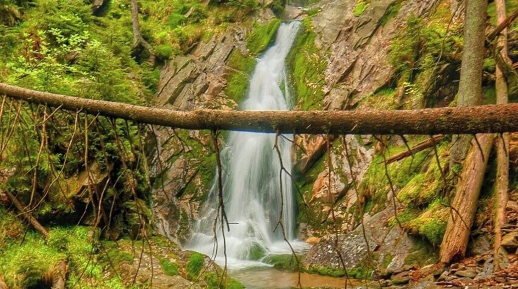 May 2009
Warerfall Bílá Strž, Bohemian Forrest
This is a waterfall on Bílý potok (=White creek) in Bílá Strž (=White gorge) in Šumava (=Bohemian forrest) near border with Germany. The creek descends from ca. 1.000 to 700 metres altitude, the waterfall is in ca. 940 metres and it is the most dramatic part of the gorge. It is a cascade of 13 metres and 7 metres jump over a muscovite rock. Muscovite or mica or isinglass was used as a window slide alternative to glass in medieval Russia, hence the name coming from Moscow.
There is an old-growth forrest around the gorge with spruce (some are 250 years old), fir and sorbus. There is a nice scenic trail in the gorge.