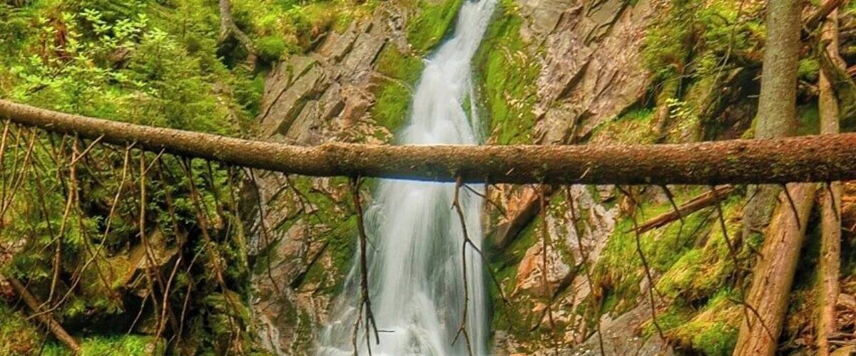 May 2009
Warerfall Bílá Strž, Bohemian Forrest
This is a waterfall on Bílý potok (=White creek) in Bílá Strž (=White gorge) in Šumava (=Bohemian forrest) near border with Germany. The creek descends from ca. 1.000 to 700 metres altitude, the waterfall is in ca. 940 metres and it is the most dramatic part of the gorge. It is a cascade of 13 metres and 7 metres jump over a muscovite rock. Muscovite or mica or isinglass was used as a window slide alternative to glass in medieval Russia, hence the name coming from Moscow.
There is an old-growth forrest around the gorge with spruce (some are 250 years old), fir and sorbus. There is a nice scenic trail in the gorge.