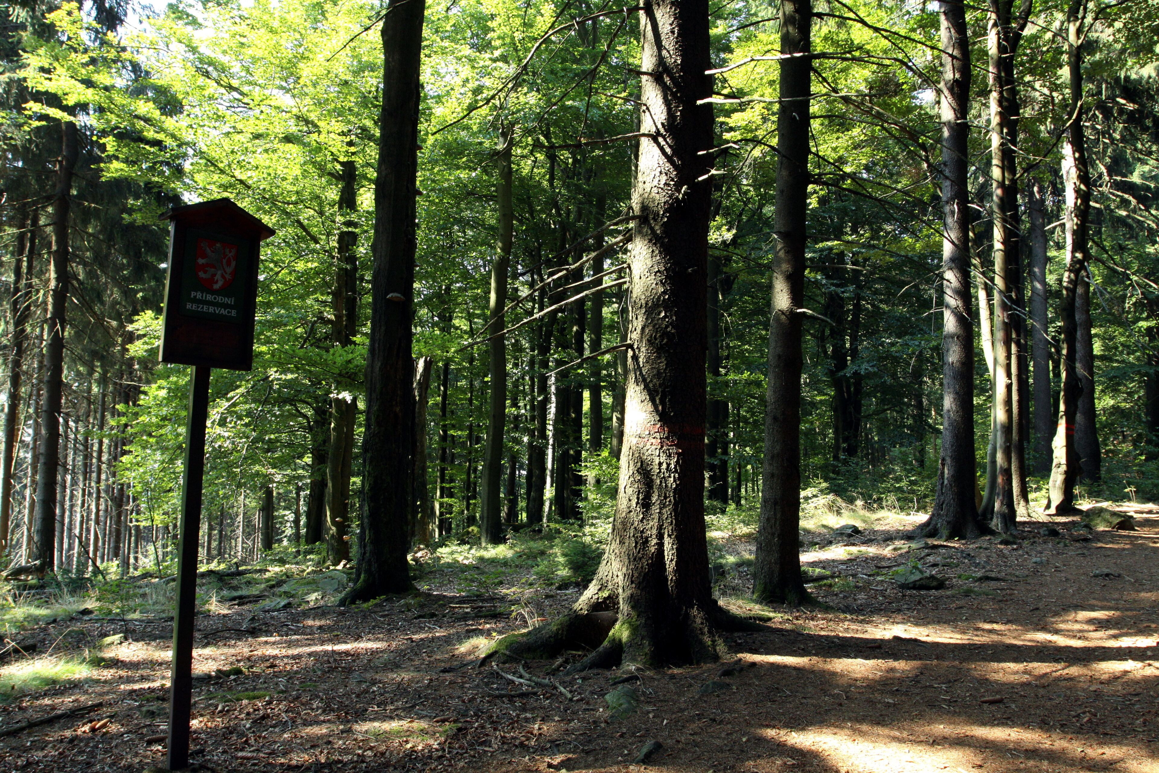 Nature reserve Starý Hirštejn near Mnichov in Domažlice District, Czech Republic