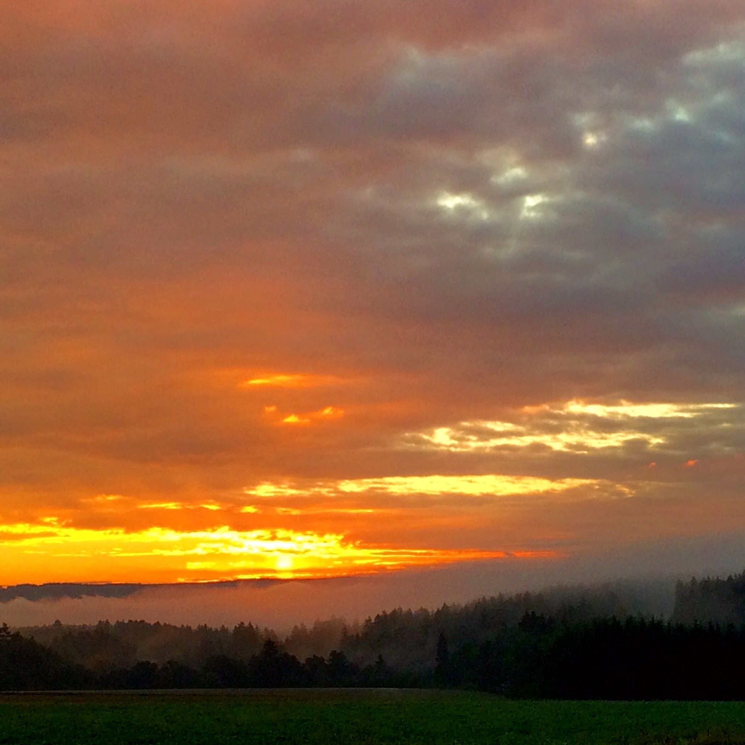 A sunset over a forested landscape with a field in the foreground.