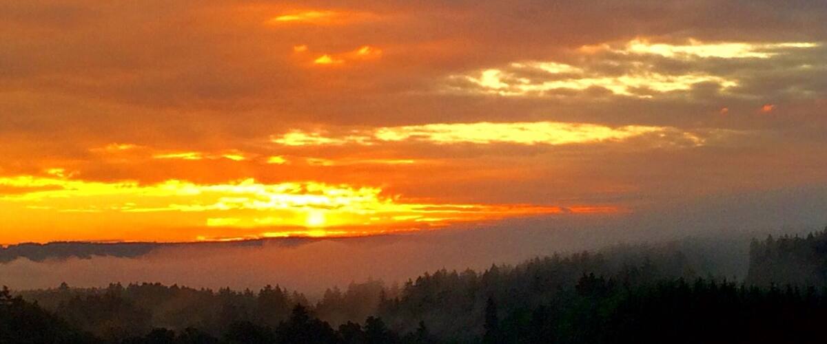 A sunset over a forested landscape with a field in the foreground.