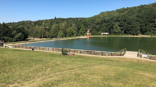 Un lago rodeado de una zona verde con un edificio pequeño y un puente.