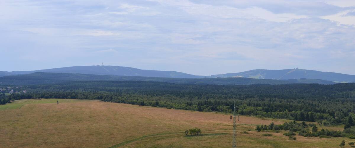 A hilly landscape with a forested area and a few scattered buildings.
