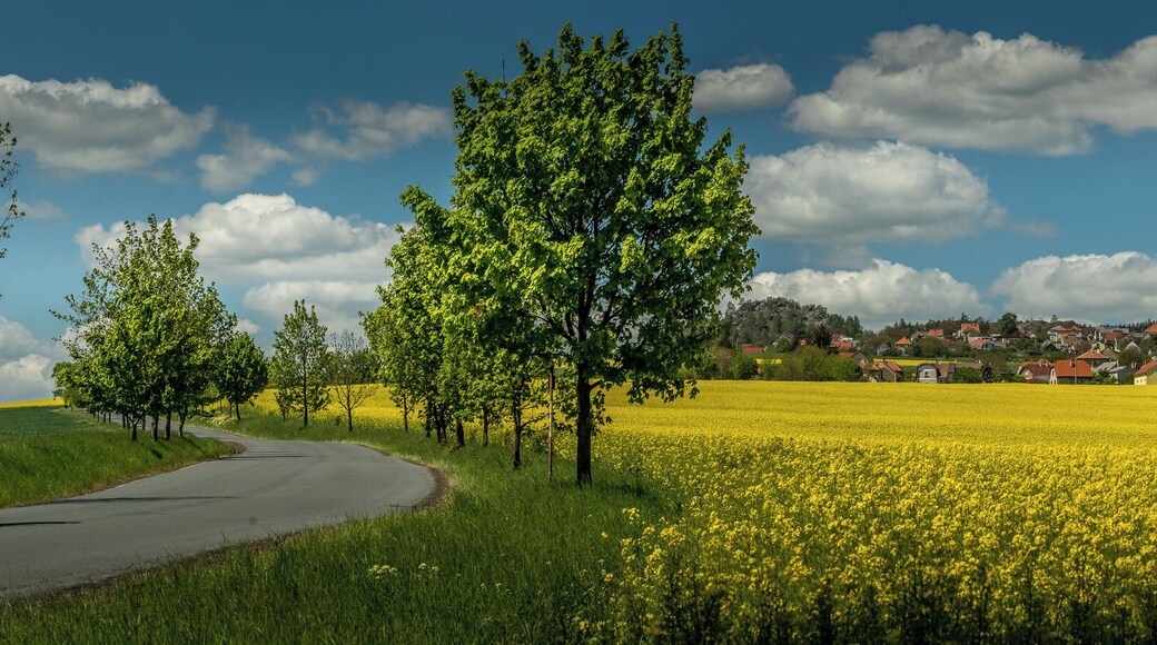 Driving around in this beautiful Country. Join my private Photo tour through Czechia. www.timvollmer.de