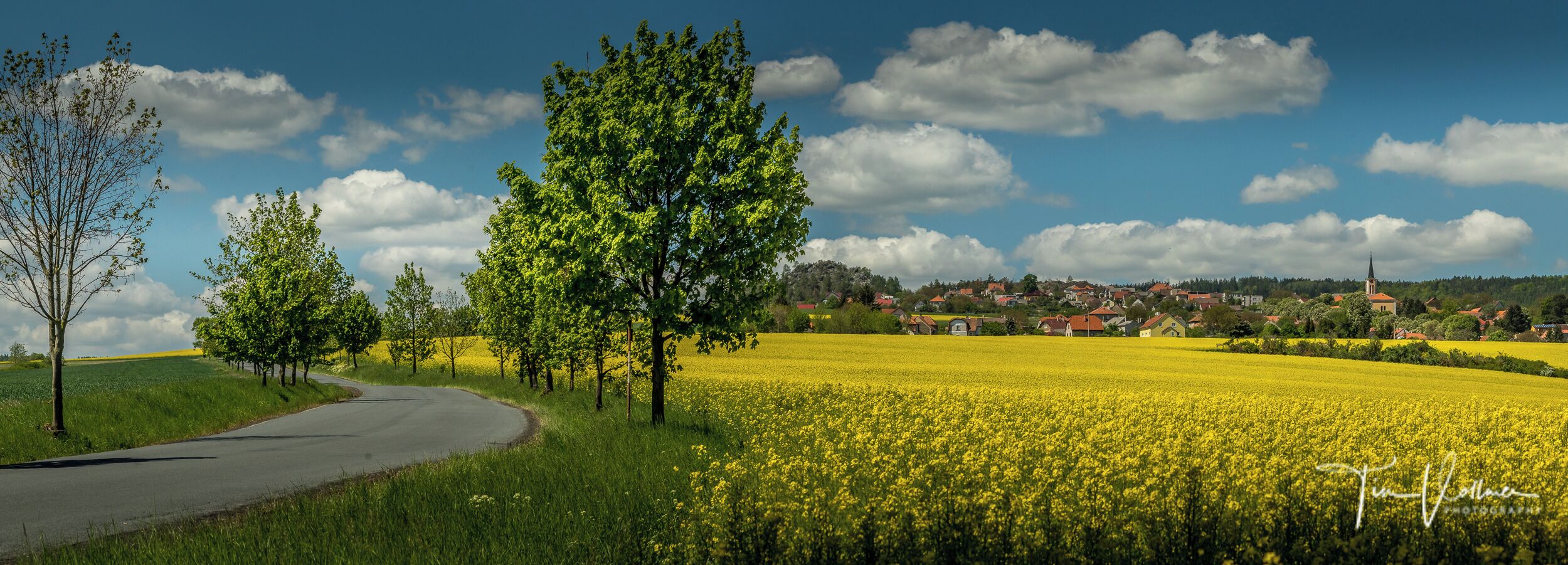 A rural landscape with a winding road, a field of yellow flowers, and a village in the background.