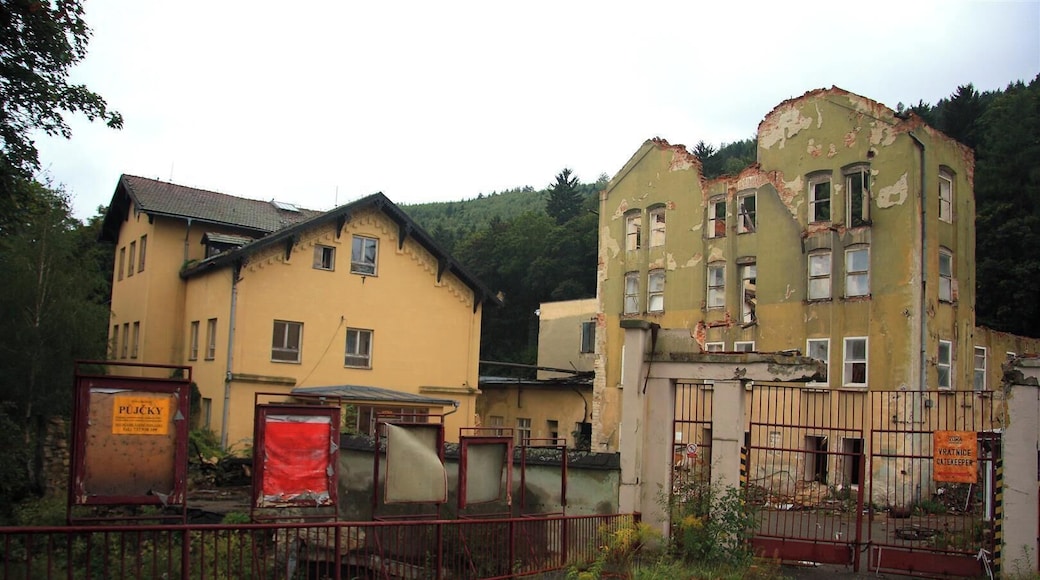Vitka textile factory of Oskar Schindler, Brněnec.
Schindler’s factory may be named Czech cultural heritage site
Anything to save? Site where Nazi industrialist turned humanitarian Oskar Schindler moved .
A crumbling factory in the eastern Bohemia— immortalized in Steven Speilberg’s 1993 film “Schindler’s List” as the place that led to the ultimate salvation of some 1,200 refugees from the Holocaust – is set to become a Czech cultural heritage site. But time is running short to save it.
The factory lies in the town of Brněnec, not far from where Oskar Schindler was raised, back when it was deep within the Sudeten German region of Czechoslovakia (and known by the locals as Brünnlitz). Before to the Second World War broke out, the factory was owned by the Jewish Loew-Beer family.
Also see :
http://www.jewishvirtuallibrary.org/jsource/biography/schindler.html
http://www.timesofisrael.com/bankruptcy-dispute-deterioration-marring-plans-for-memorial-at-schindler-factory-site/