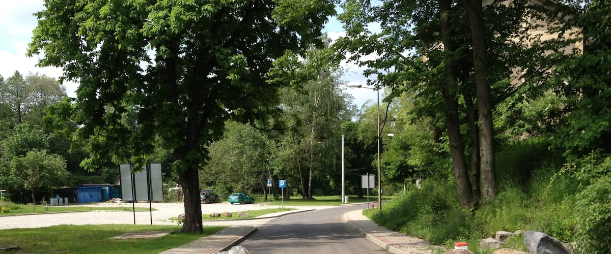 A paved road with a pedestrian crossing, large rocks, and trees.