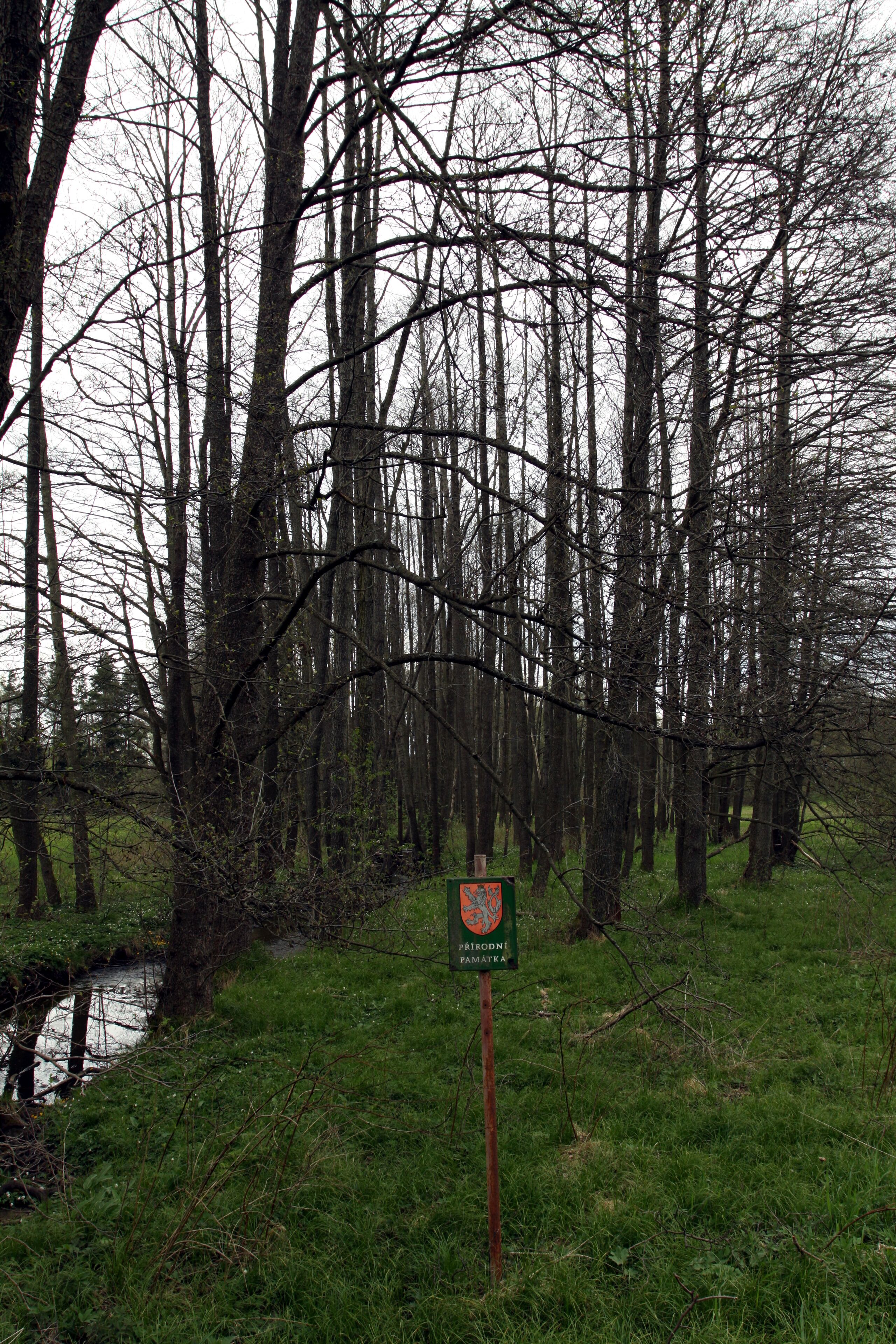 National natural monument Lužní potok in Cheb District, Czech Republic