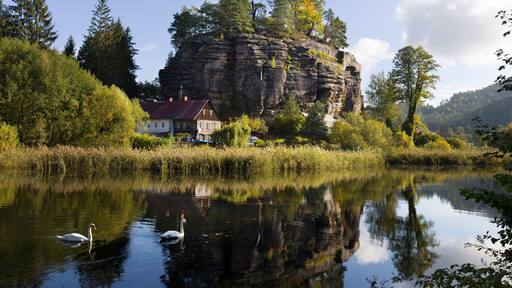 Una casa junto a un lago tranquilo con cisnes, rodeada de árboles y un acantilado rocoso.