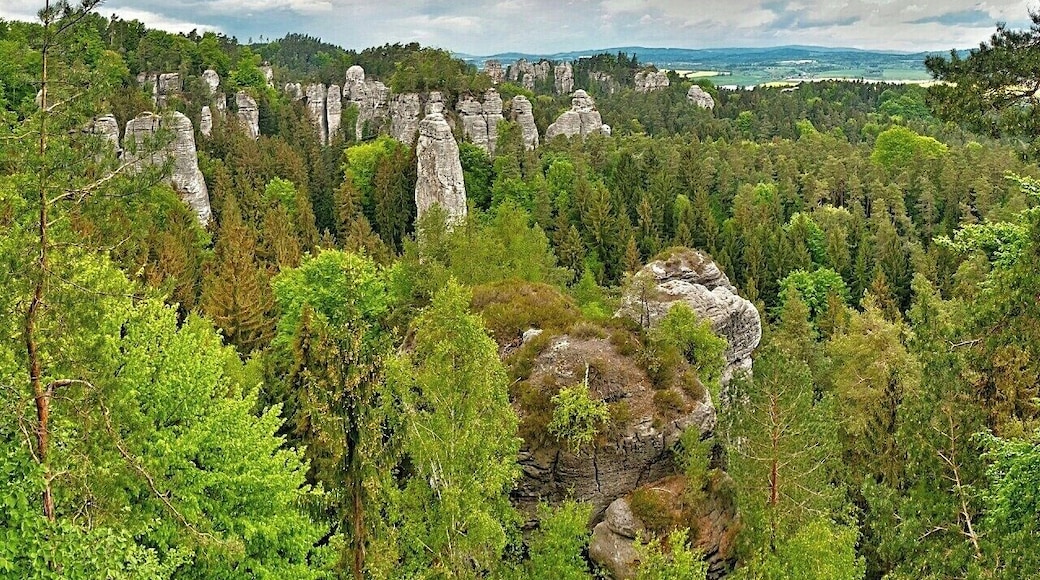 May 2015
Vyhlídka na Kapelu, Hrube rocks, Bohemian Paradise, Czech republic
Bohemian Paradise (=Český Ráj) is a nature reserve protected area established in 1955 and it is located in North Bohemia. It has a varied country side with plenty of first and beech surrounding wonderful sandstone rock formations. The water, wind and frost erosion has left many uniquely shaped rock towers having up to 60 meters of height and these are a popular place for Czech rock climbers for decades.
View of the main part of Hrube rocks in Bohemian Paradise. It is called View of the Orchestra. The Orchestra is the group of the sandstone towers on the left, with one needle standing before them, which is called the Dirigent.