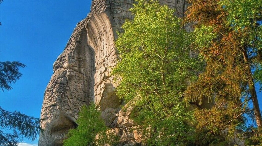 May 2015
Hrube rocks, Bohemian Paradise, Czech republic
Bohemian Paradise (=Český Ráj) is a nature reserve protected area established in 1955 and it is located in North Bohemia. It has a varied country side with plenty of first and beech surrounding wonderful sandstone rock formations. The water, wind and frost erosion has left many uniquely shaped rock towers having up to 60 meters of height and these are a popular place for Czech rock climbers for decades. One of them can be seen in the picture on the summit.