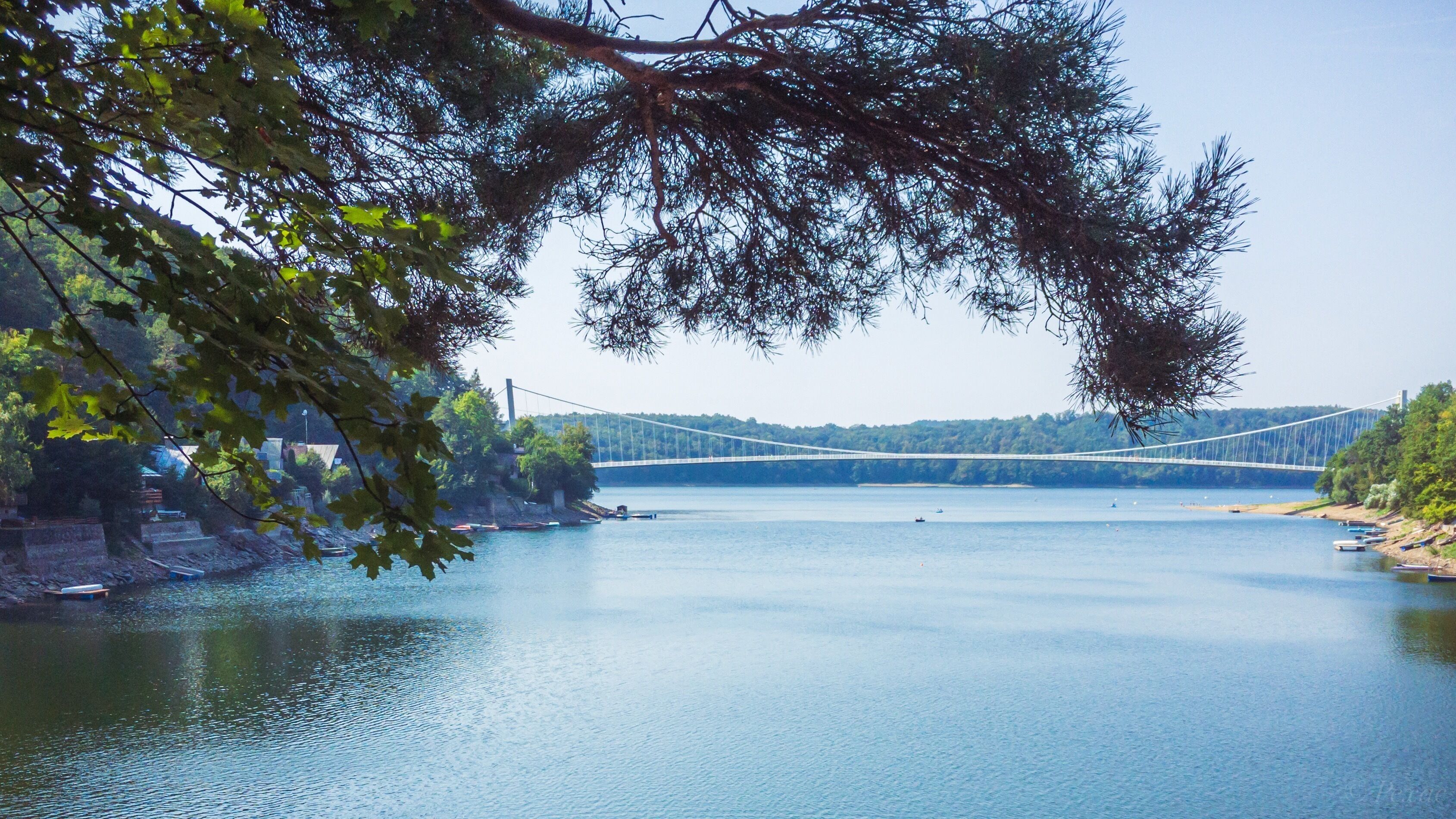 A suspension bridge over a calm river, surrounded by trees and a small town.