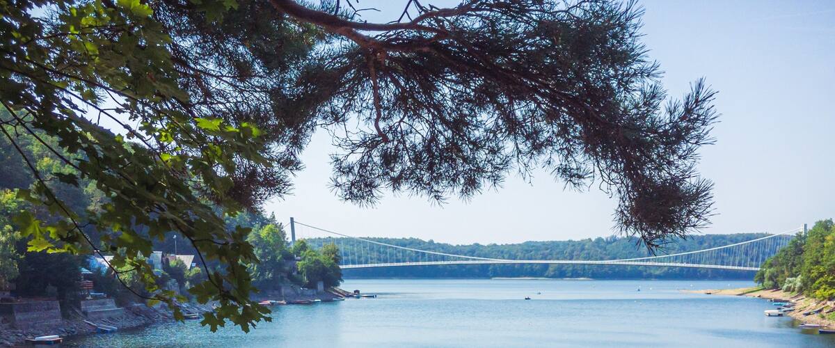 A suspension bridge over a calm river, surrounded by trees and a small town.