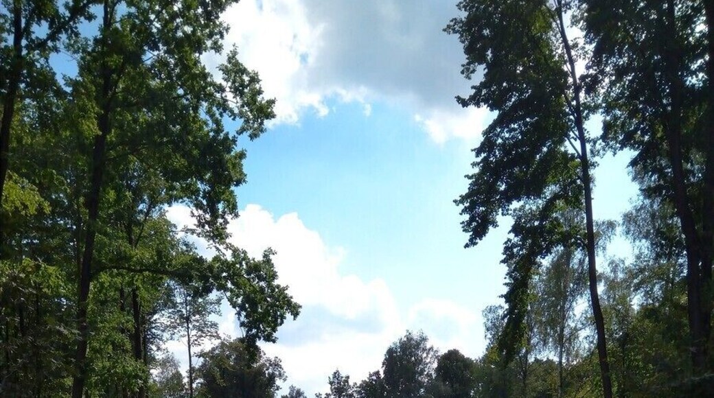 Křížová cesta na Anenském vrchu u Lobendavy