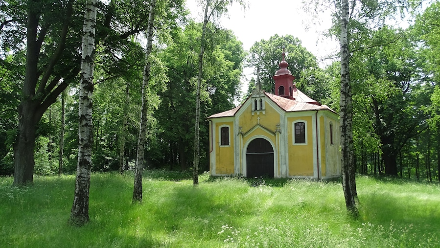 A small yellow church surrounded by lush green trees.