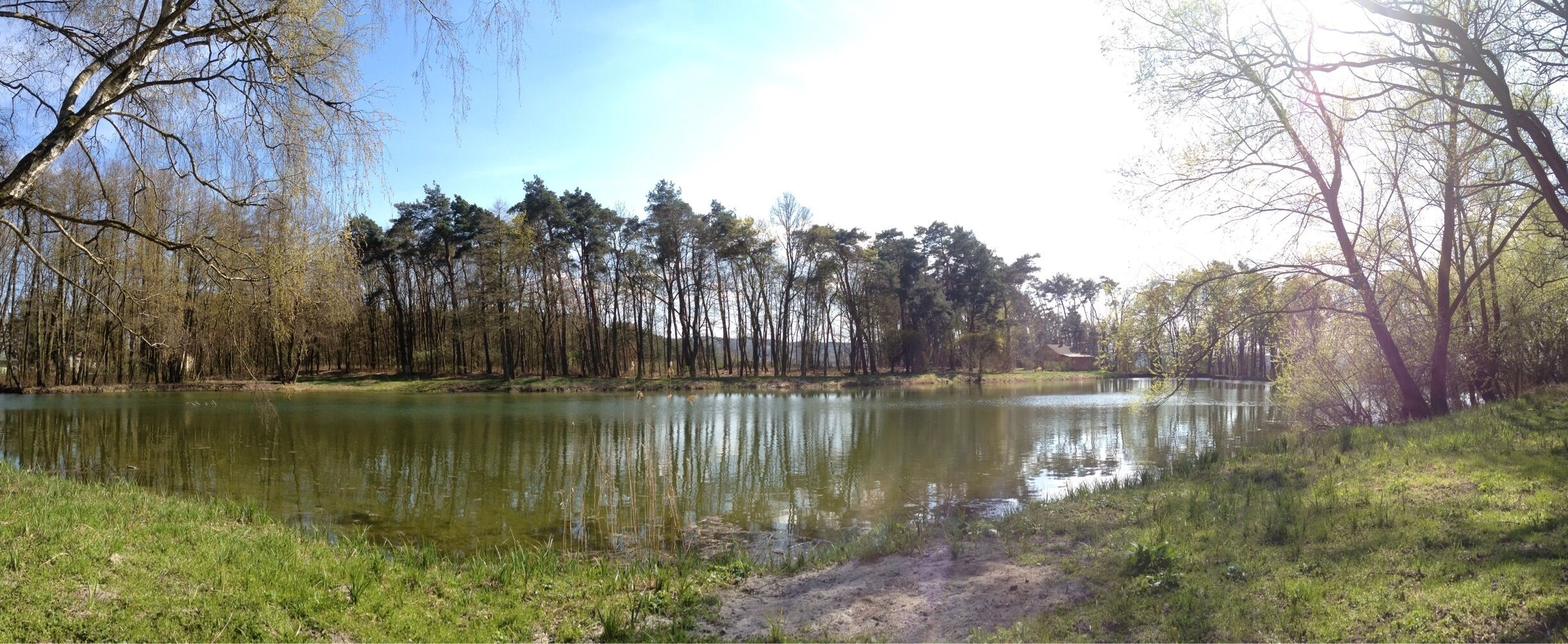 A calm river with dense trees on both sides, a clear sky, and a dirt path along the riverbank.