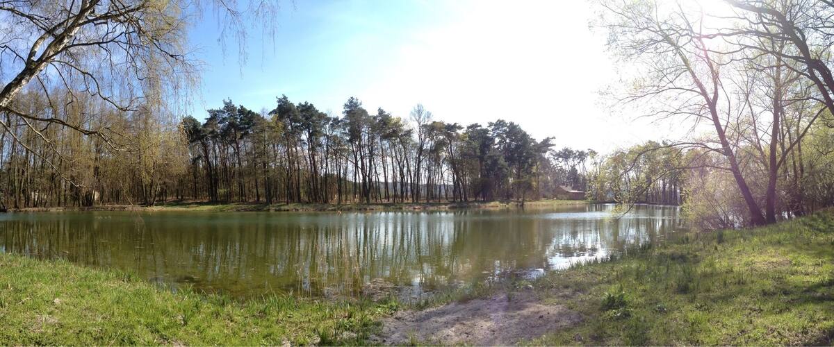 A calm river with dense trees on both sides, a clear sky, and a dirt path along the riverbank.